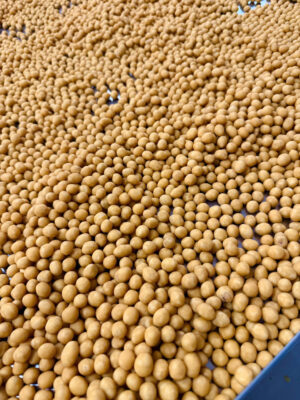 Đậu Da Cá Cốt Dừa 320g